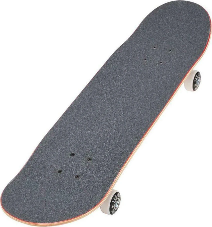 ZOOYORK-SKATE.jpeg