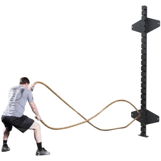 Pegasus_CrossTraining
