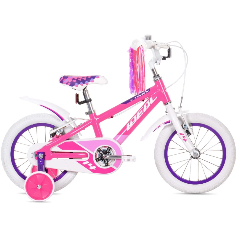 V-TRACK-14-MG-scaled