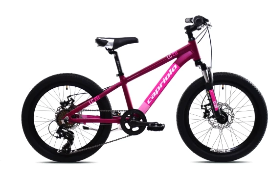 images-mtb-lc-200-206al-ljubicasto-925518-11-1