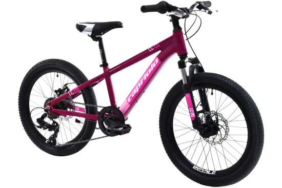 images-mtb-lc-200-206al-ljubicasto-925518-11-2