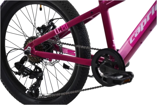 images-mtb-lc-200-206al-ljubicasto-925518-11-3