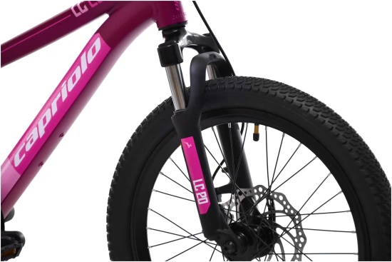 images-mtb-lc-200-206al-ljubicasto-925518-11-4