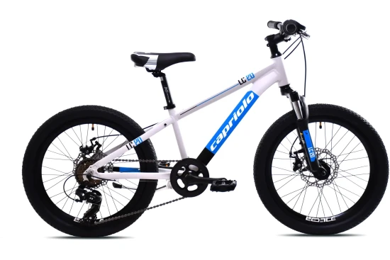 images-mtb-lc-200-206al-sivo-925516-11-1