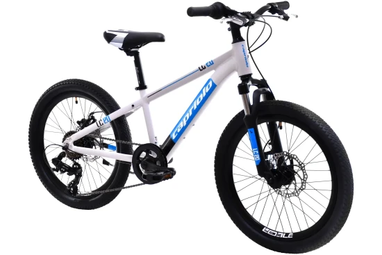 images-mtb-lc-200-206al-sivo-925516-11-2