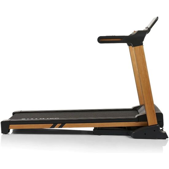HAMMER-FLYRUN(1)