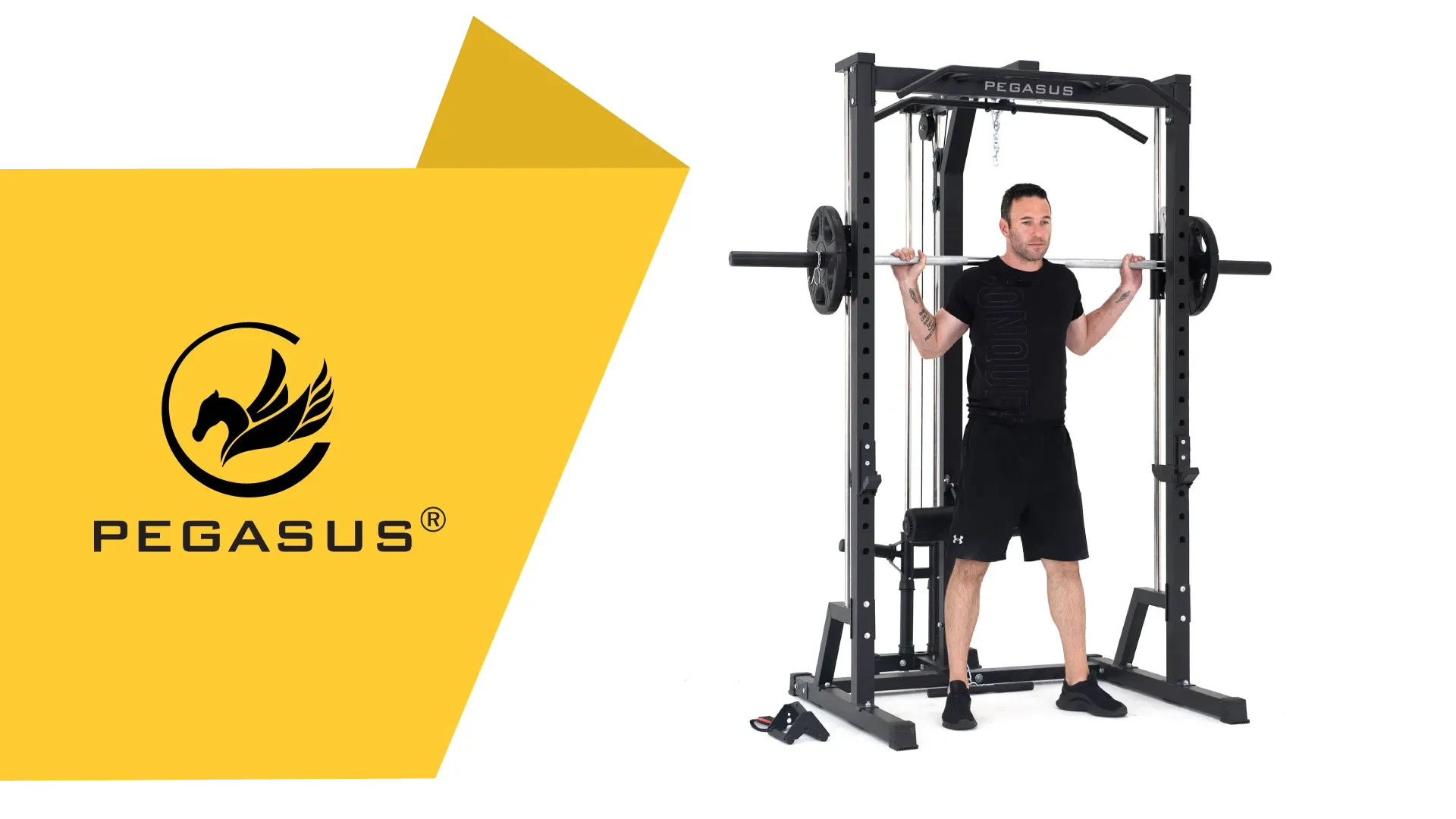 PEGASUS-S3MF(1)
