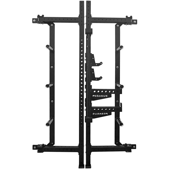 PEGASUS-WALL-MOUNTED(1)