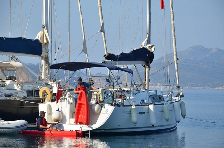 POINT65-FALCON(4)
